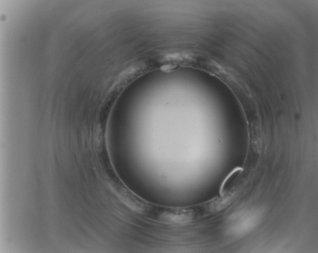 X0000063520563200601271839