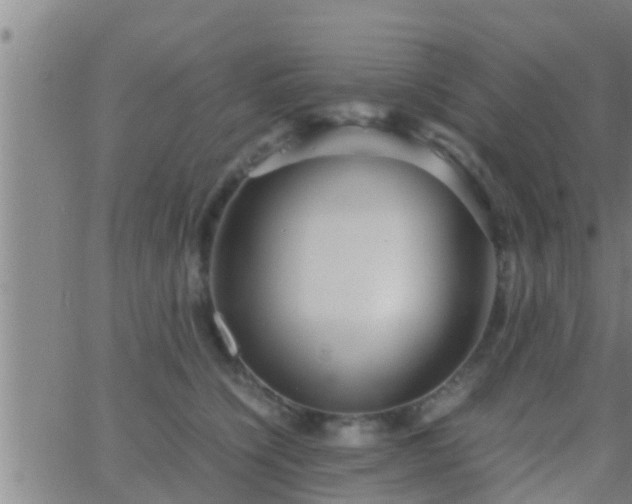 X0000063520564200601271839