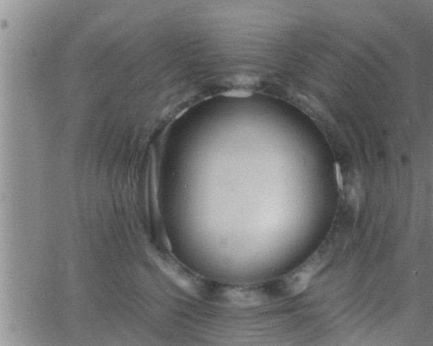 X0000063520568200601271839