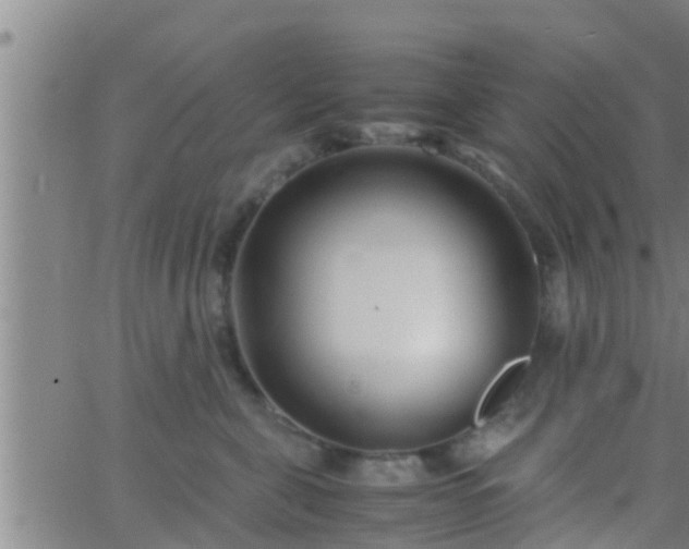 X0000063520571200601271839