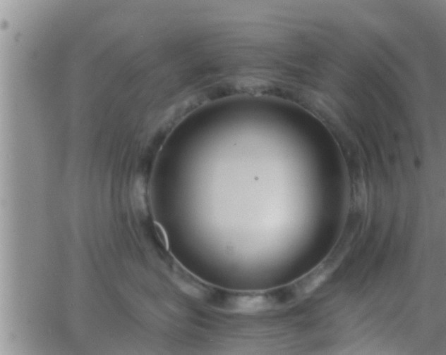 X0000063520575200601271839