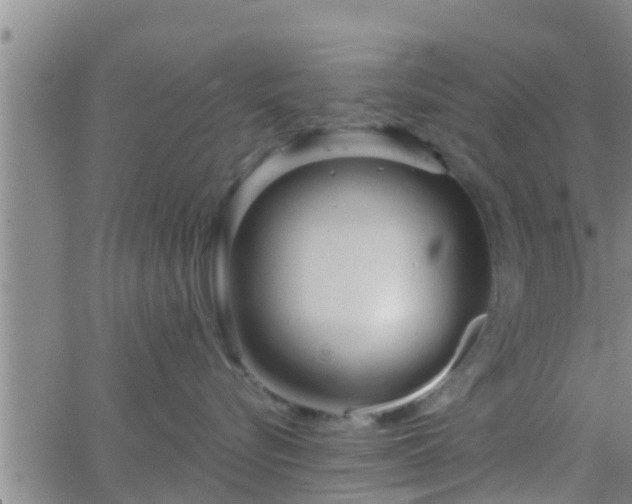 X0000063520576200601271839