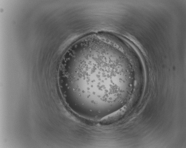 X0000063520577200601271838