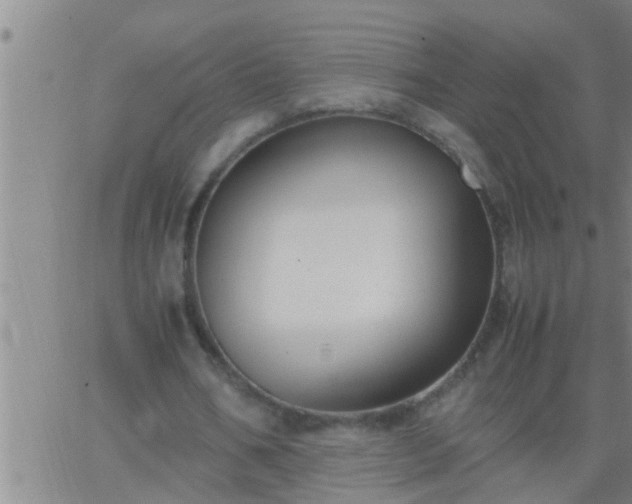 X0000063520578200601271838