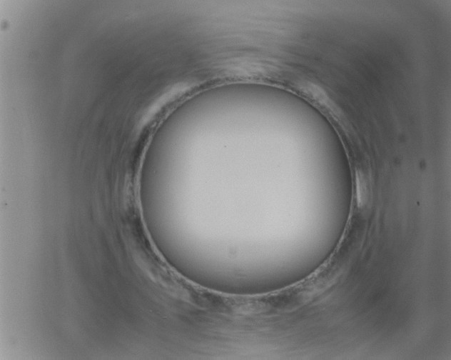 X0000063520579200601271838