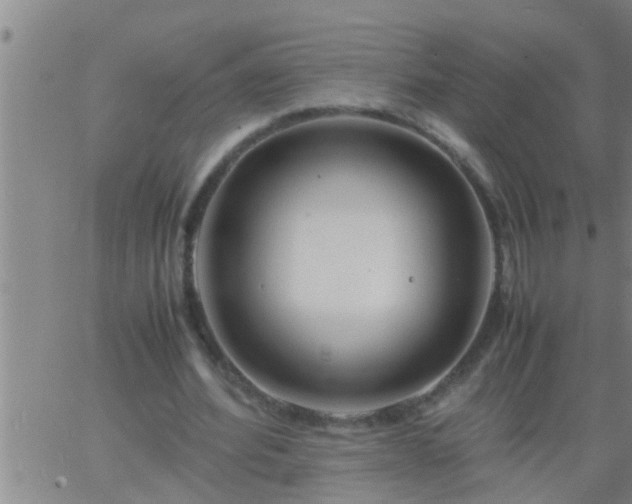 X0000063520580200601271838