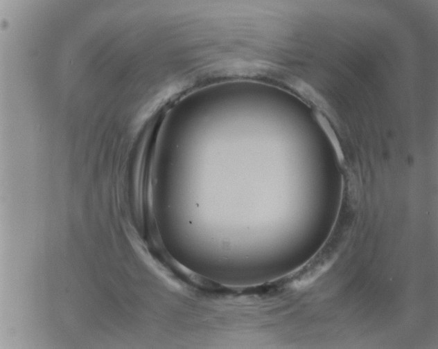 X0000063520581200601271838