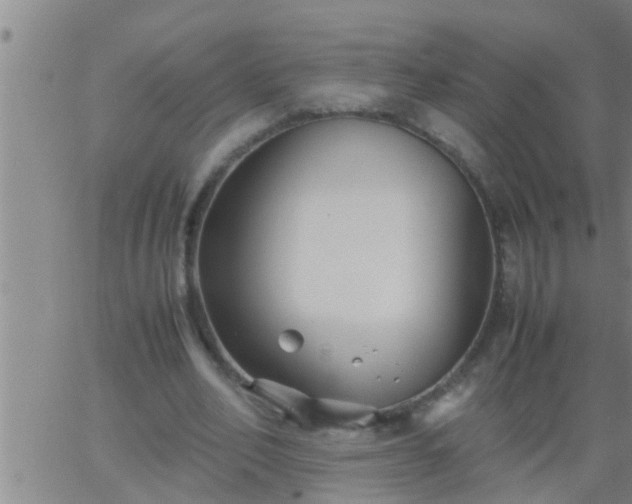 X0000063520582200601271838