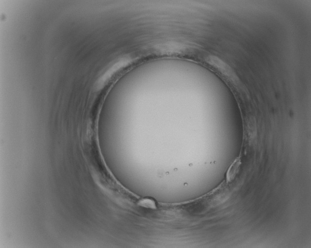 X0000063520583200601271838