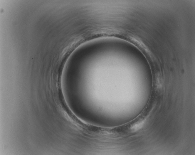 X0000063520585200601271838