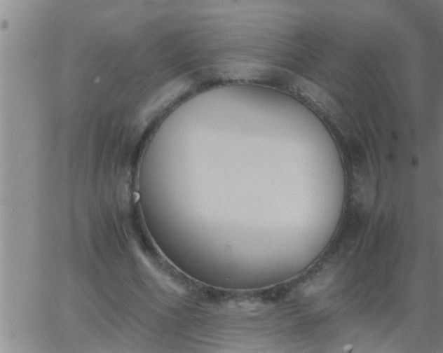 X0000063520586200601271838