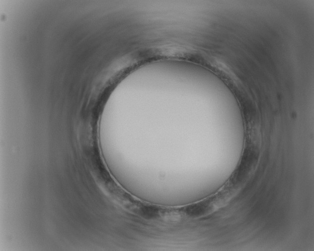 X0000063520587200601271838