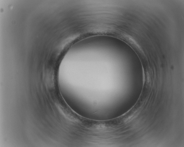 X0000063520588200601271838