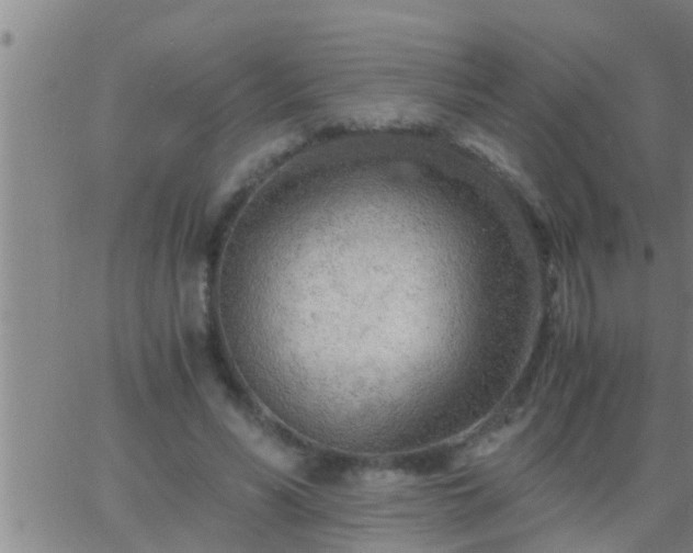 X0000063520590200601271838