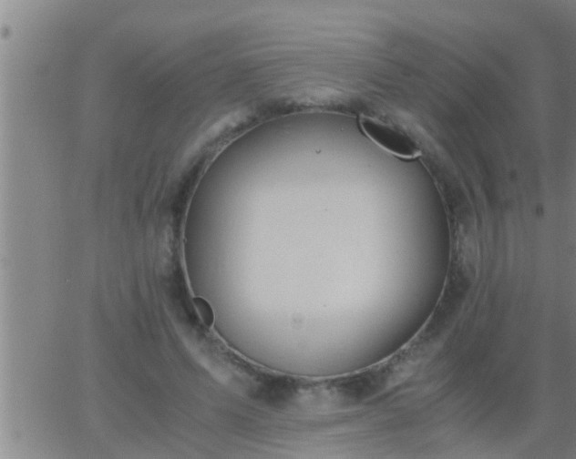 X0000063520591200601271838