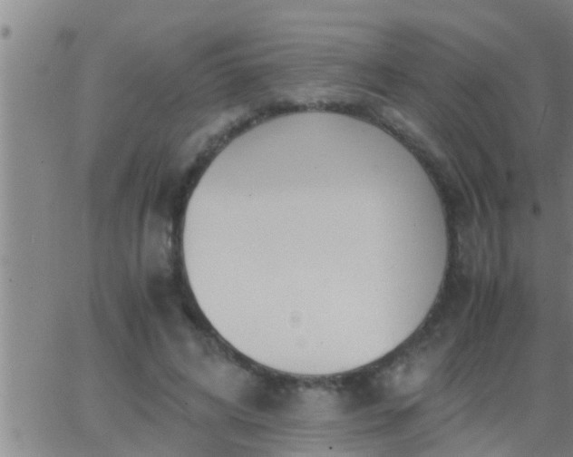 X0000063520592200601271838