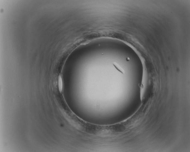 X0000063520593200601271838