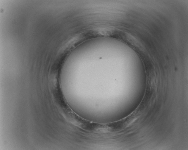 X0000063520595200601271838