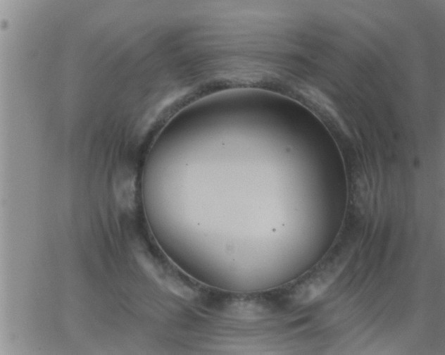 X0000063520596200601271838