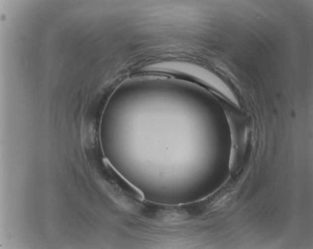 X0000063520597200601271838