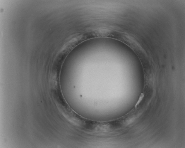 X0000063520599200601271838