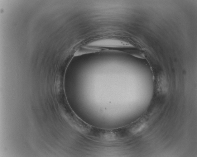 X0000063520600200601271838