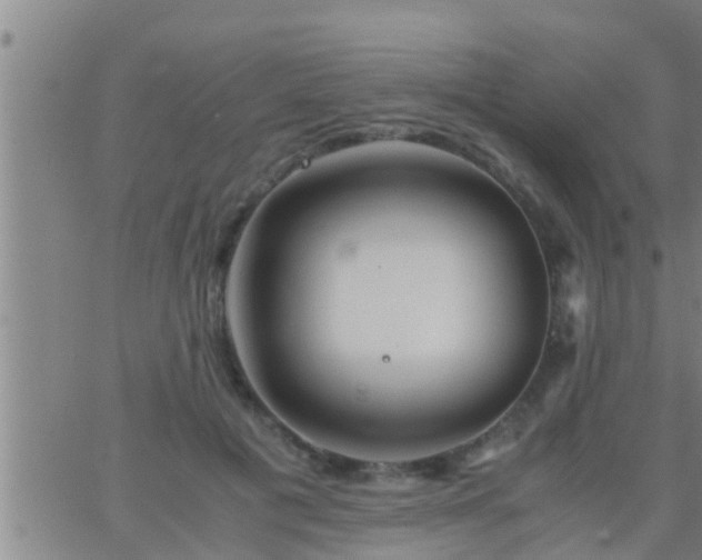 X0000063520601200601271838