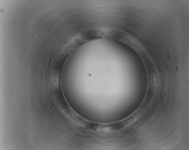 X0000063520602200601271838