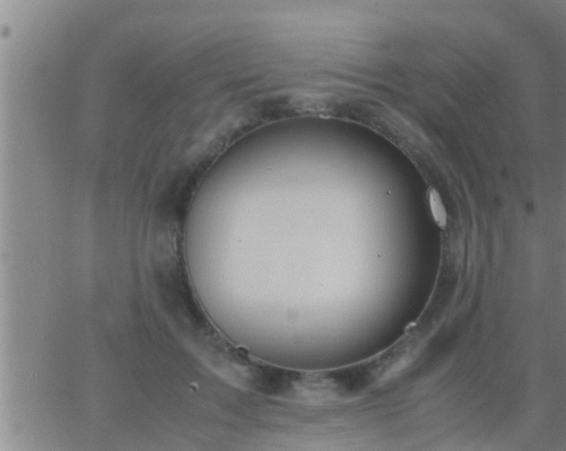 X0000063520603200601271838