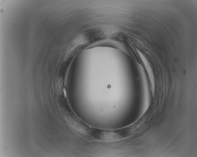 X0000063520605200601271838