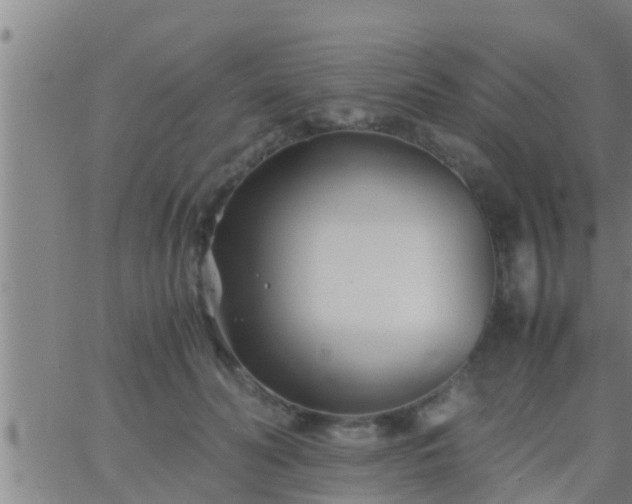 X0000063520606200601271838