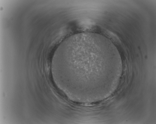 X0000063520607200601271837