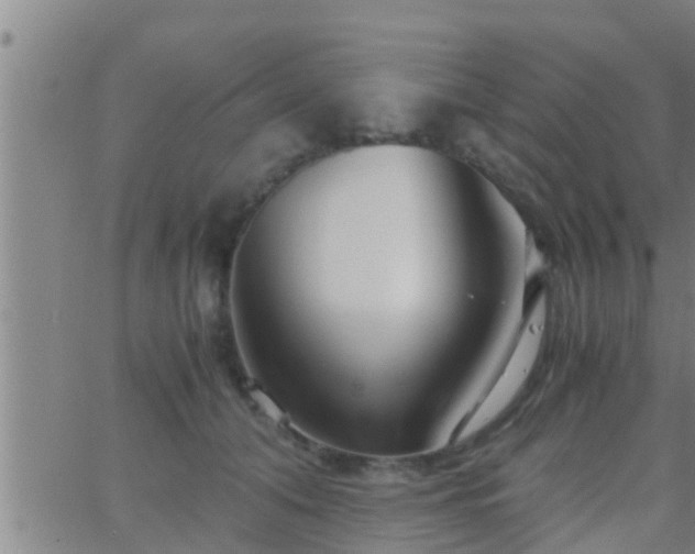 X0000063520608200601271837