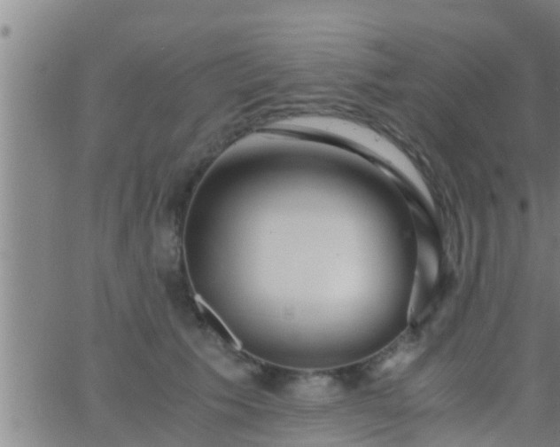 X0000063520609200601271837