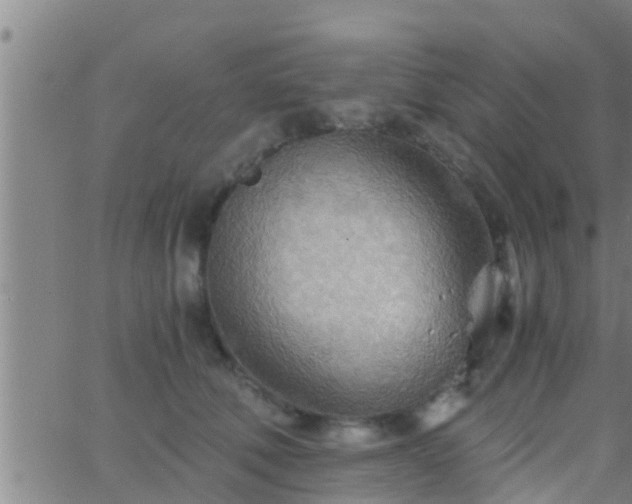 X0000063520610200601271837