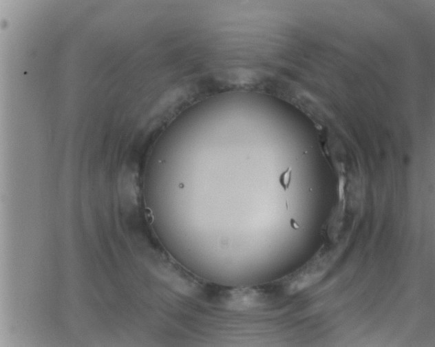 X0000063520612200601271837