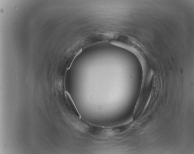 X0000063520613200601271837