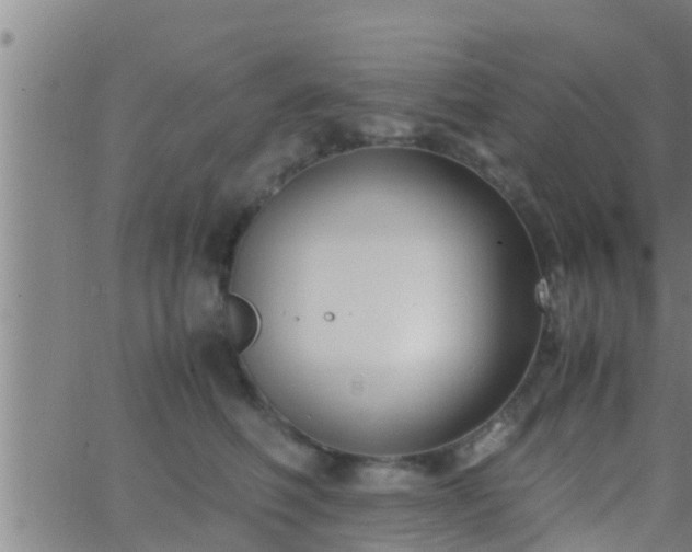 X0000063520614200601271837