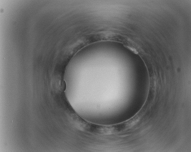 X0000063520615200601271837