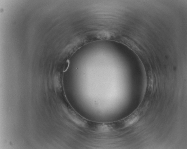 X0000063520616200601271837