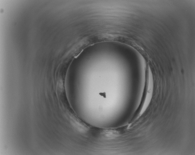 X0000063520617200601271837