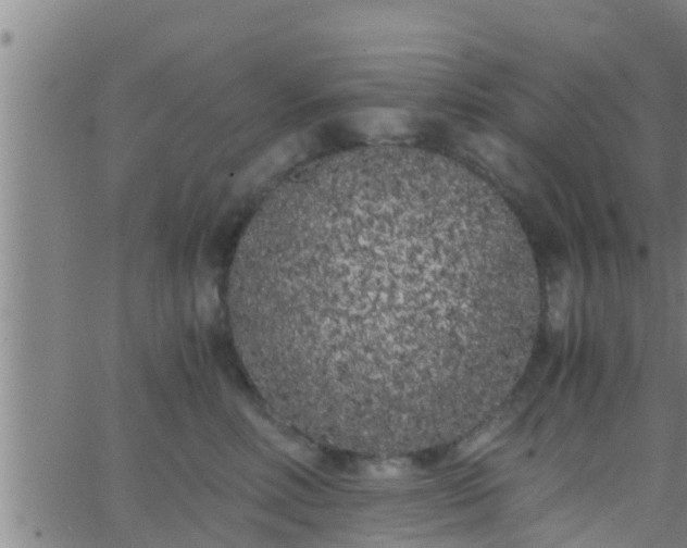 X0000063520618200601271837