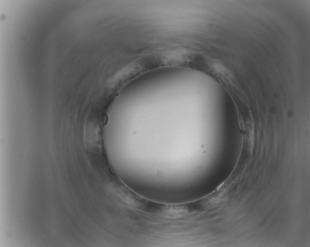 X0000063520619200601271837