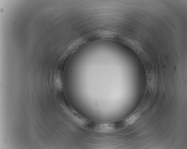 X0000063520622200601271837