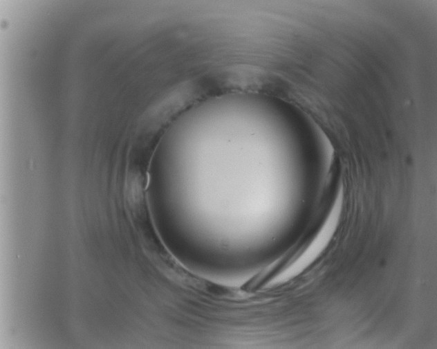 X0000063520623200601271837