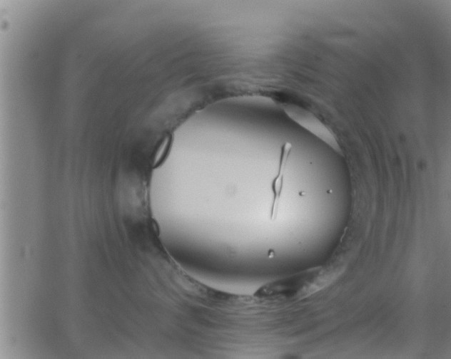 X0000063520624200601271837