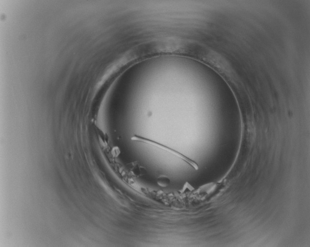 X0000063520626200601271836