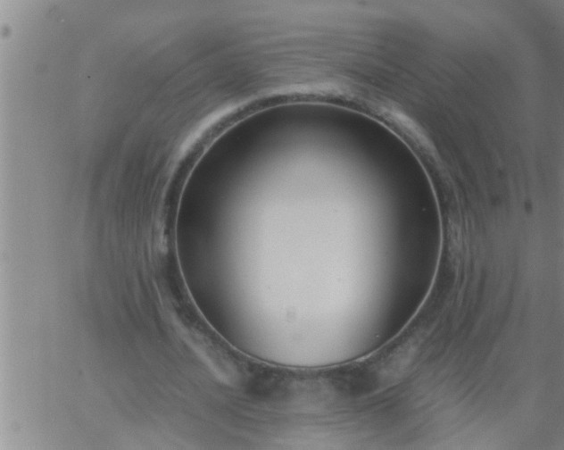 X0000063520628200601271836