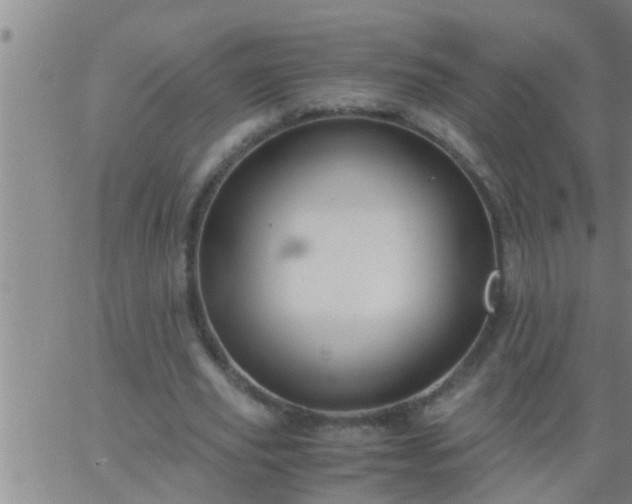 X0000063520629200601271836