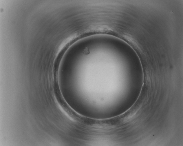 X0000063520630200601271837